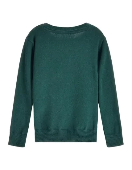 Sweater for Boy Guess