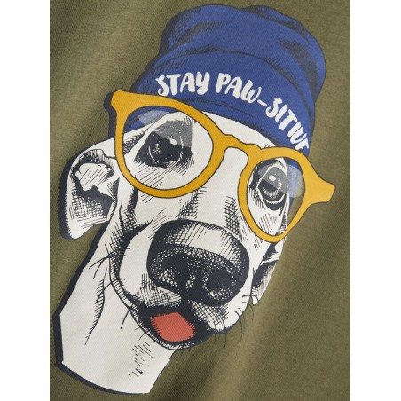 Μπλουζάκι για Αγόρι Name It 13231083-DEEPLICHENGREEN - celebritystores.gr