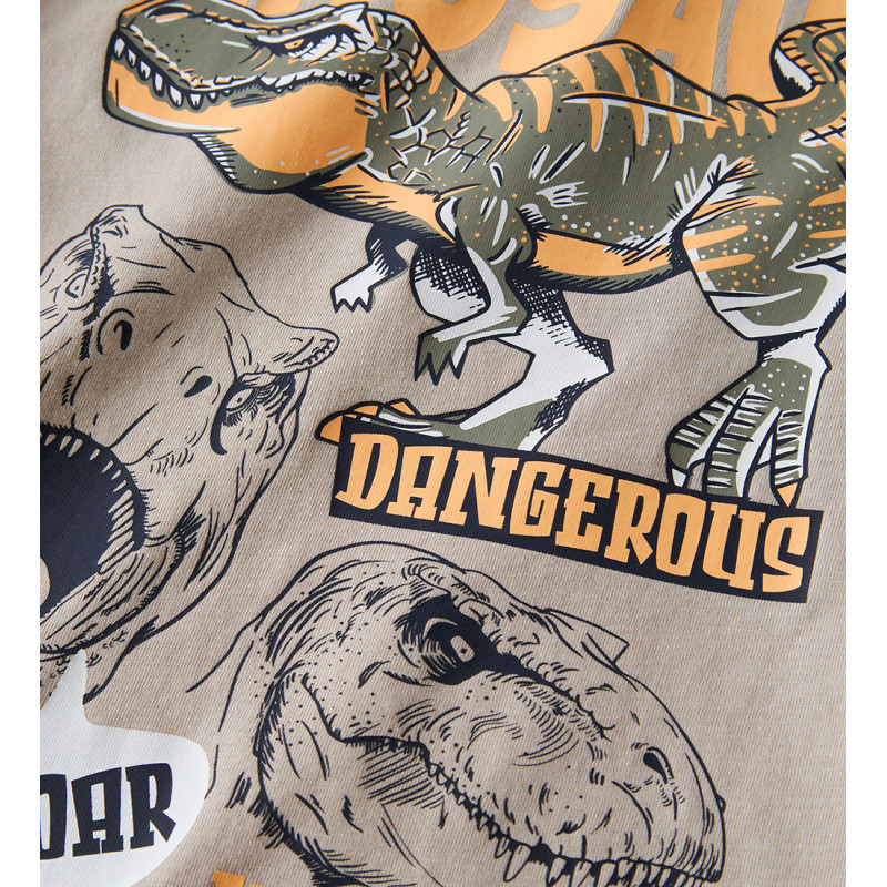 Μπλουζάκι για Αγόρι Name It 13241580-ChateauGray/Trex-celebritystores.gr