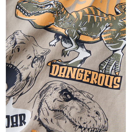 Μπλουζάκι για Αγόρι Name It 13241580-ChateauGray/Trex-celebritystores.gr