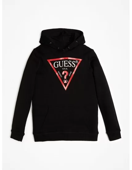 Hoodie for Boy Guess